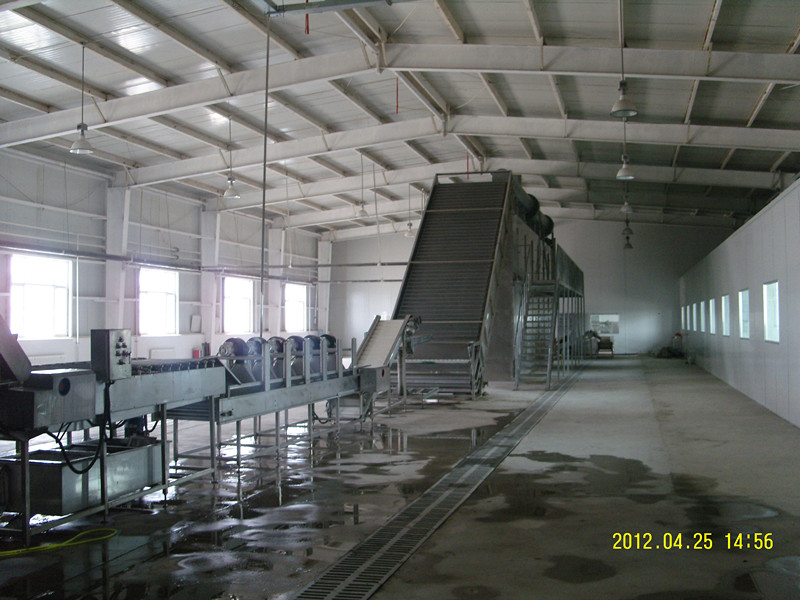 紅棗生產線，紅棗烘干機，紅棗干燥機